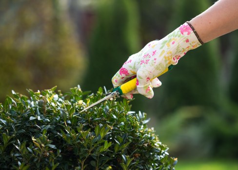 Workers pruning hedges in Neasden with green waste bins