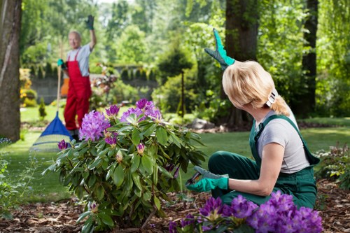 Team preparing for hedge trimming with equipment