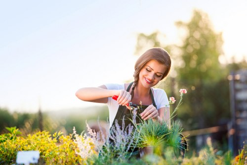 Professional tree lopping service in Neasden