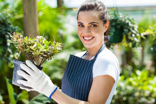 Healthy trees after regular maintenance