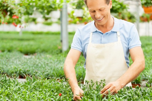 Workers practicing environmentally responsible garden clearance