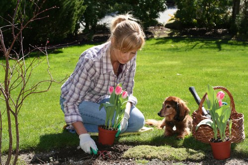 Person using a screen reader while viewing hedge trimming service information